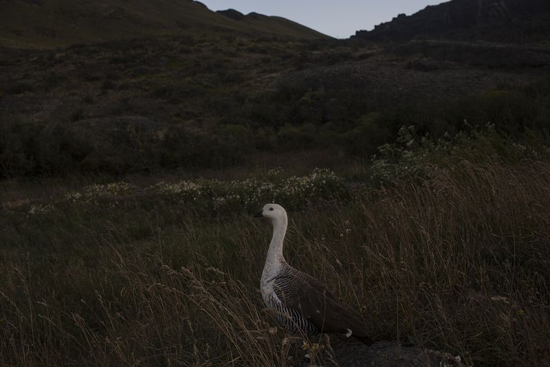 © Alejandro Olivares - Image from the The beginning of the wind photography project