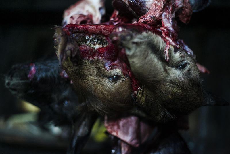 © Alejandro Olivares - Image from the The beginning of the wind photography project