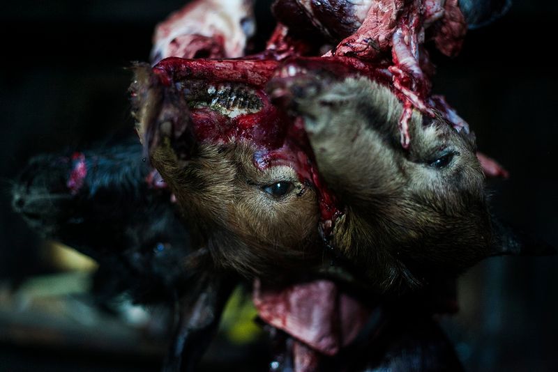 © Alejandro Olivares - Image from the The beginning of the wind photography project