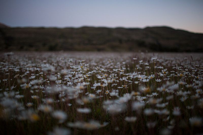 © Alejandro Olivares - Image from the The beginning of the wind photography project