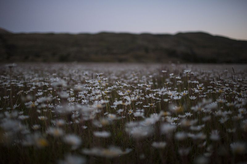 © Alejandro Olivares - Image from the The beginning of the wind photography project