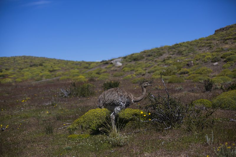 © Alejandro Olivares - Image from the The beginning of the wind photography project