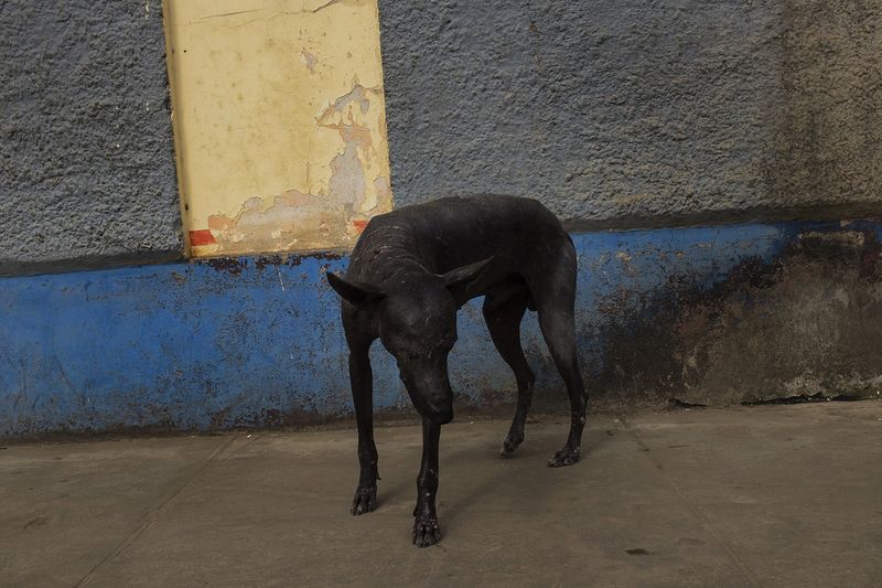 © Alejandro Olivares - Image from the THE RUDIMENTS OF PARADISE photography project