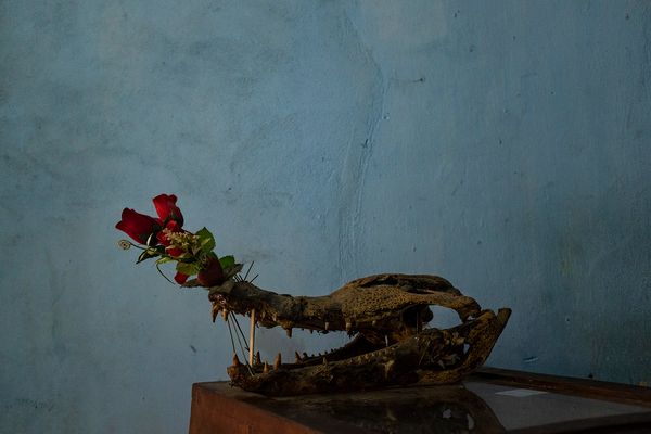 © Alejandro Olivares - Image from the THE RUDIMENTS OF PARADISE photography project