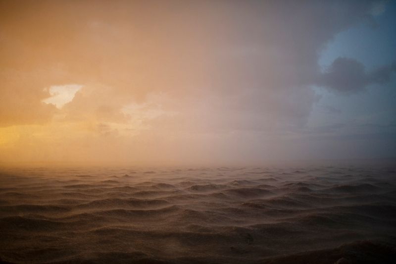 © Alejandro Olivares - Image from the THE RUDIMENTS OF PARADISE photography project