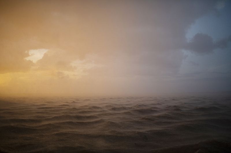 © Alejandro Olivares - Image from the THE RUDIMENTS OF PARADISE photography project