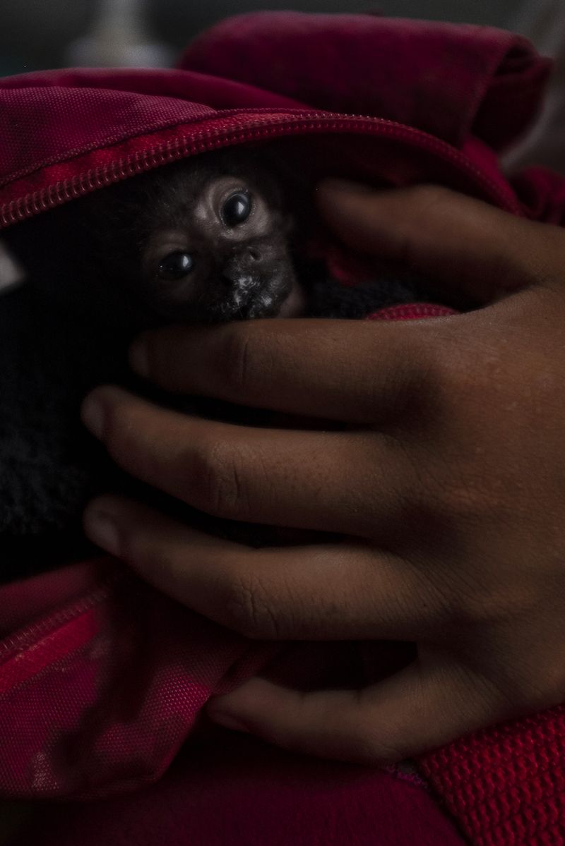 © Alejandro Olivares - Image from the THE RUDIMENTS OF PARADISE photography project