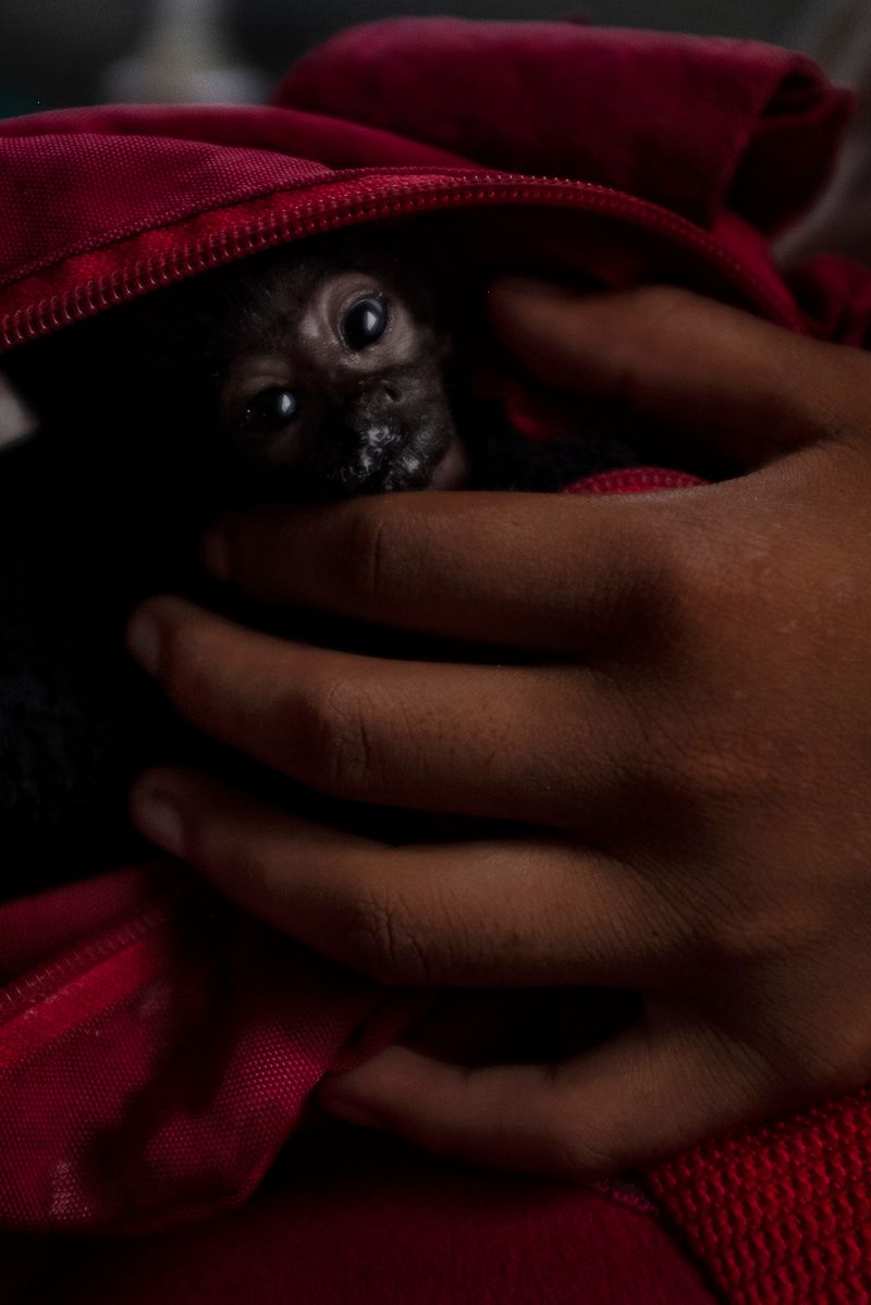 © Alejandro Olivares - Image from the THE RUDIMENTS OF PARADISE photography project