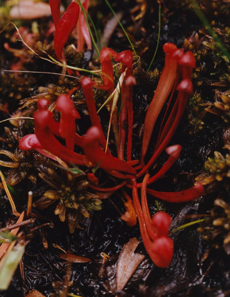 © Christian Cassiel