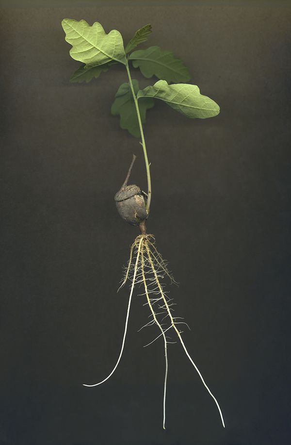 © Clare Hewitt