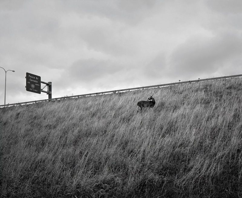 © Vanessa Winship