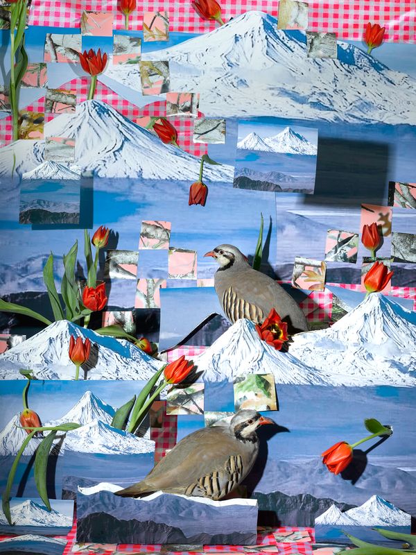 © Sheida Soleimani, ICP