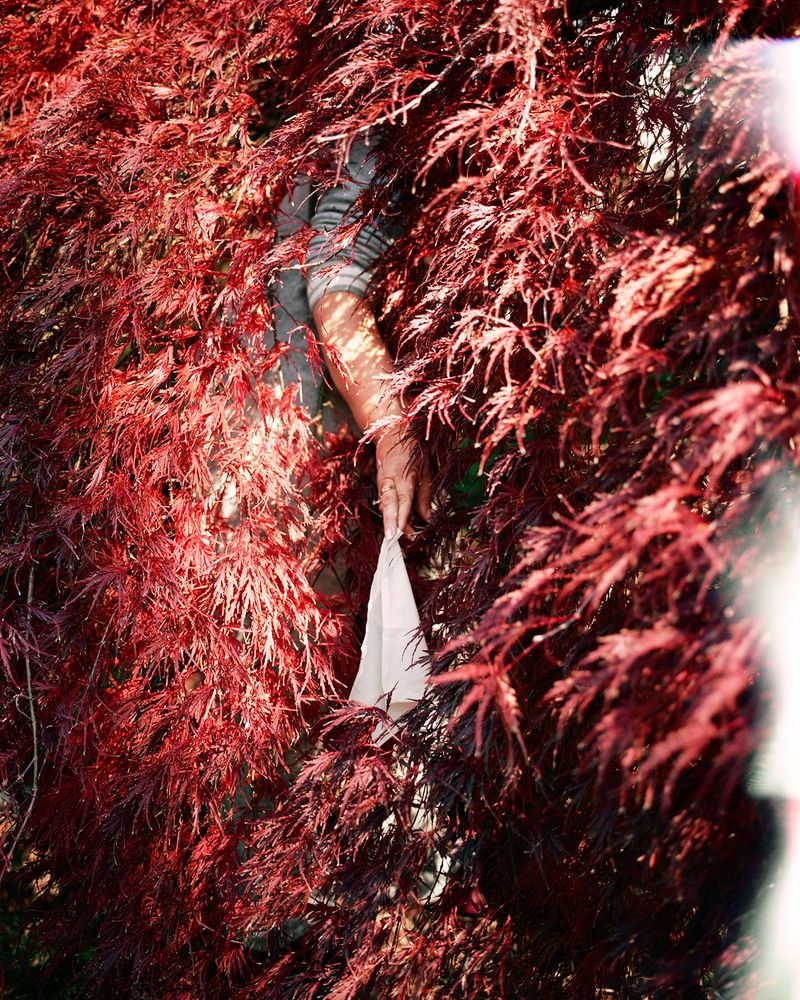 © Julie Jones - Image from the Umbra photography project