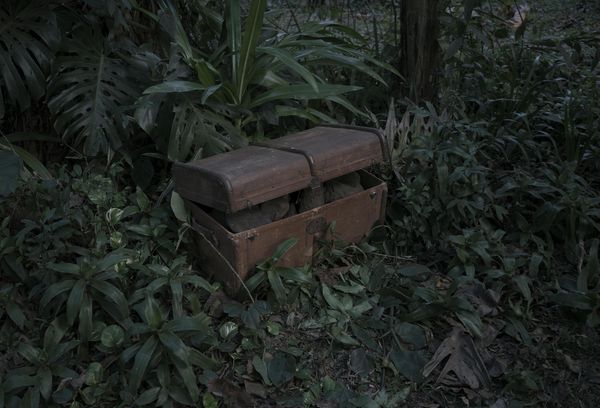Image from a project on PhMuseum