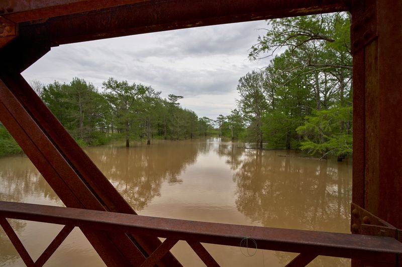© Bob Newman - Black Bayou Bridge