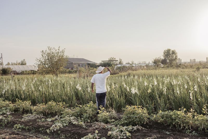 © Stefano Morelli - Arshaluys, Armenia. A farmer looks for his wife in their field of flowers.