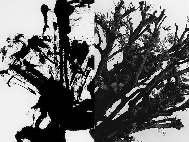 © Kathleen Alisch - Atlas of voids_15