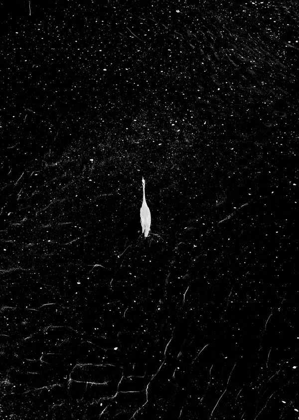 © Kathleen Alisch - Atlas of voids_02