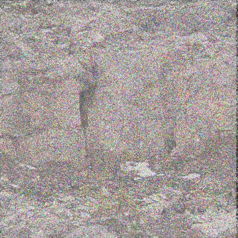 © Marina Istomina - Image from the Protection photography project