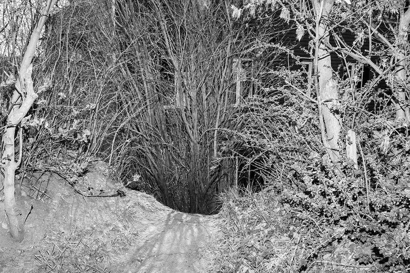 © Marina Istomina - Image from the Protection photography project