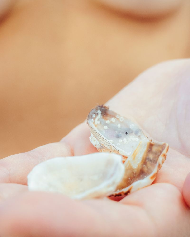 © Ariana Zukowski - Reemerged silver-eyed and salty