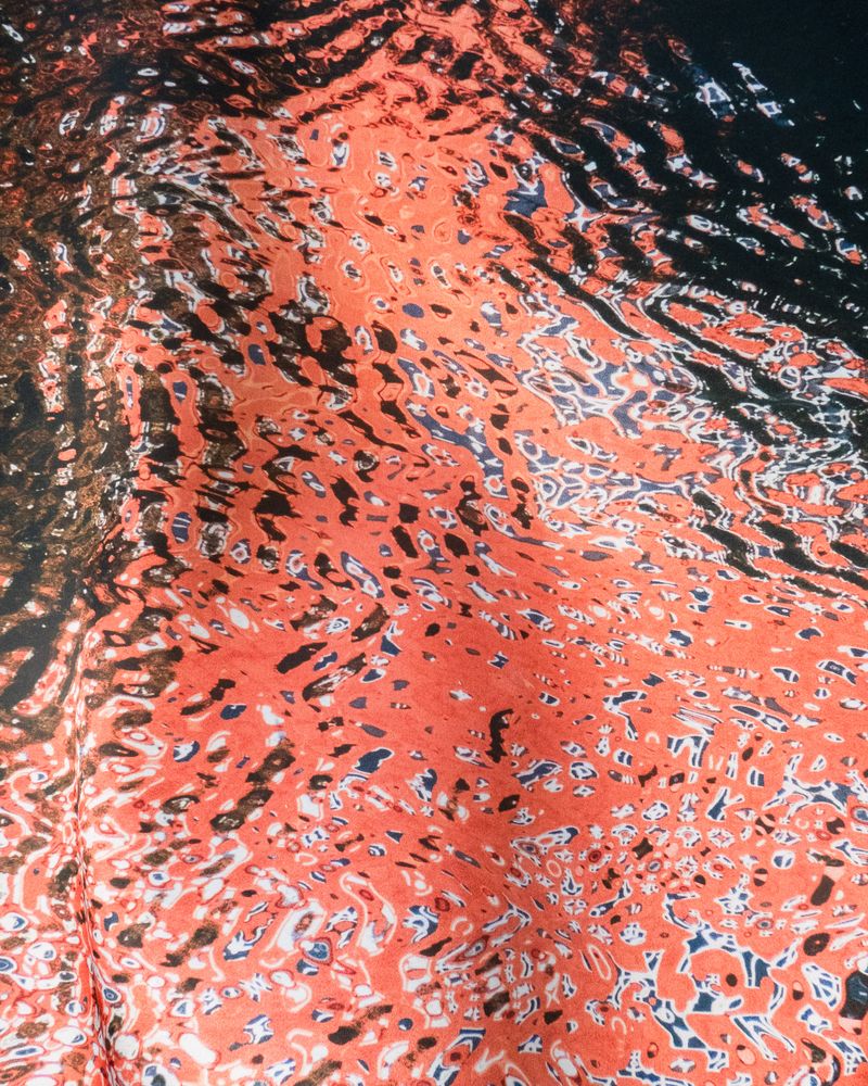 © Ariana Zukowski - Reflections dusted in scarlet