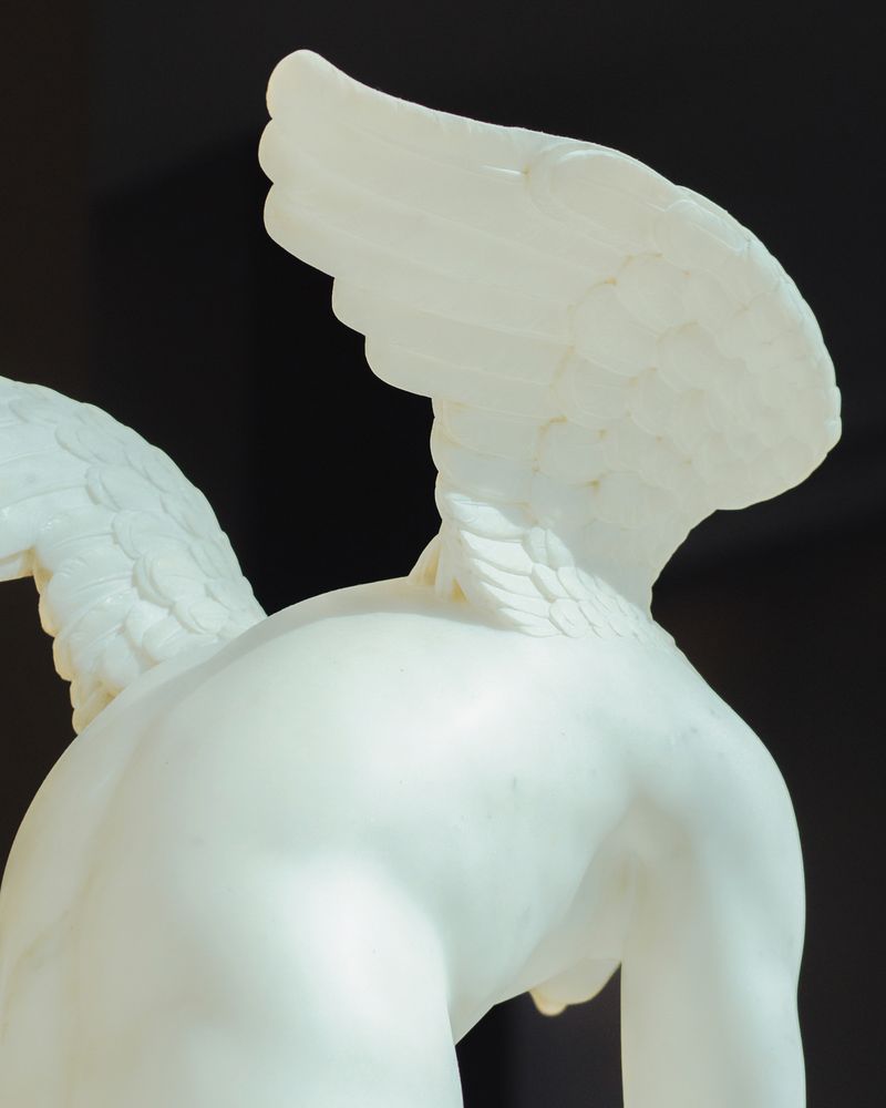 © Ariana Zukowski - Cracked open with wings