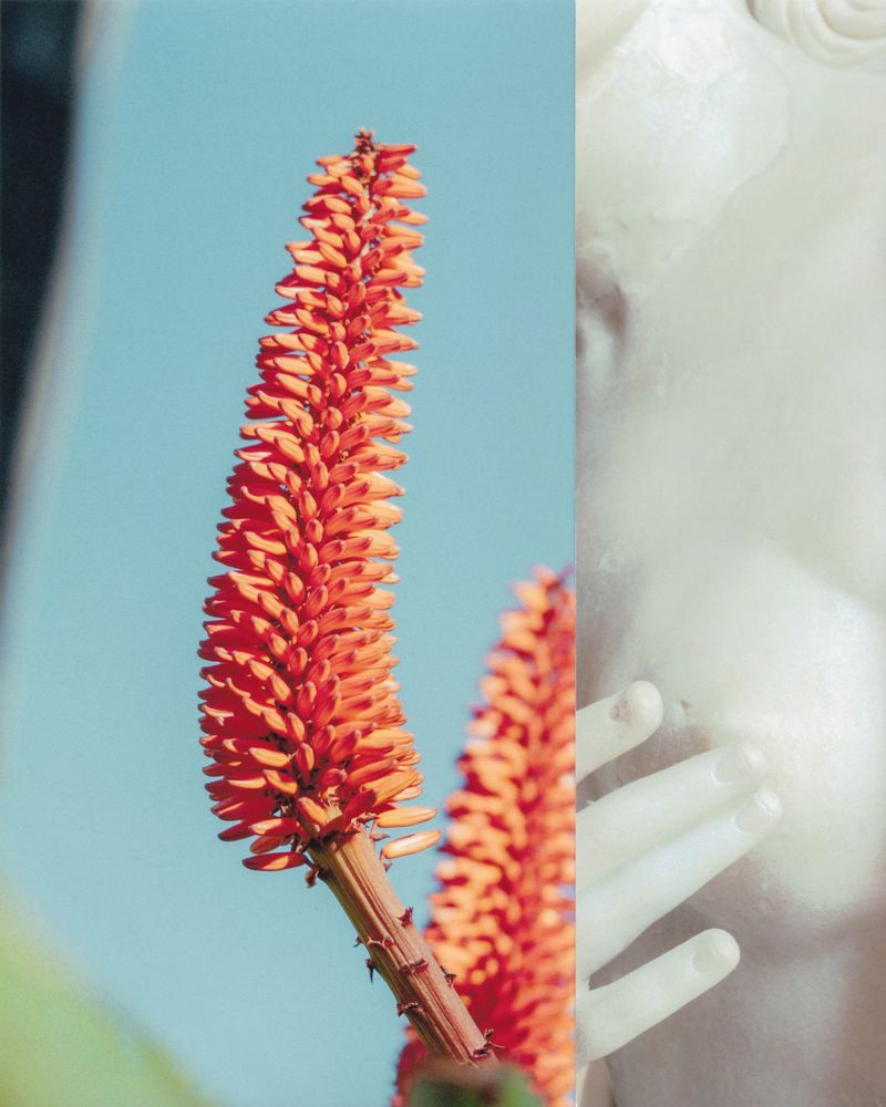 © Ariana Zukowski - Nature’s touch