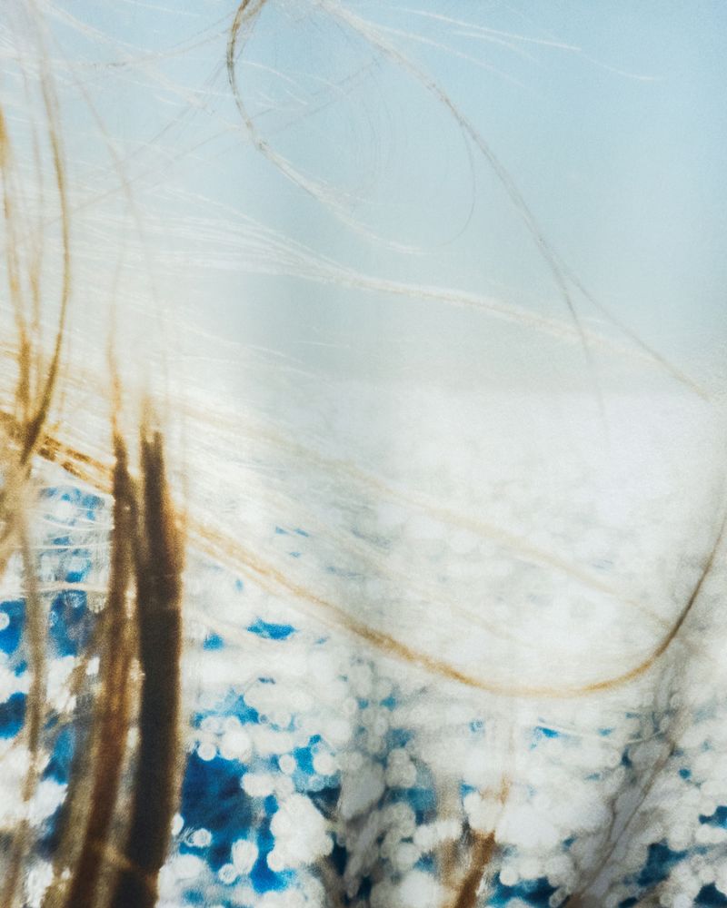 © Ariana Zukowski - Salt-wrapped tangled hair