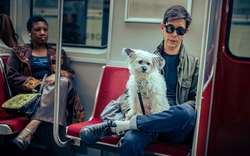 © Hong Yu Chan - Toronto, Canada, 2023A quiet encounter during the daily commute.