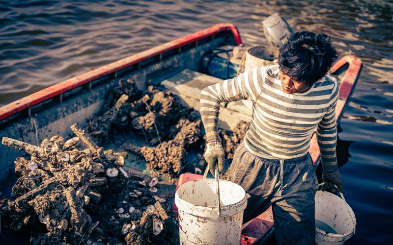 © Hong Yu Chan - Hong Kong, 2019Labor shaped by tide and repetition.