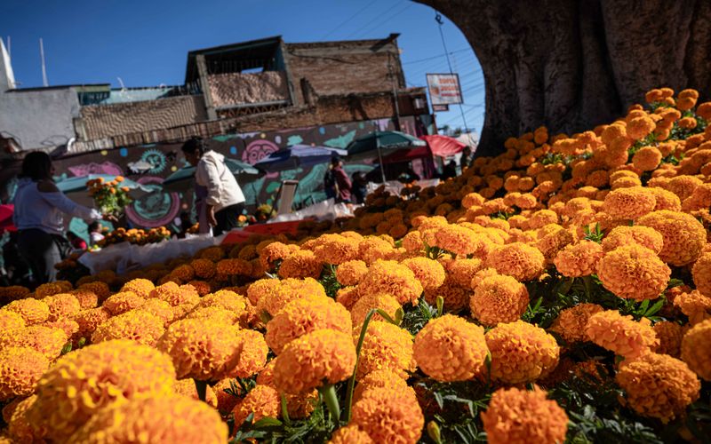 © Hong Yu Chan - Marigolds flood the market, carrying the colour of remembrance into the streets.