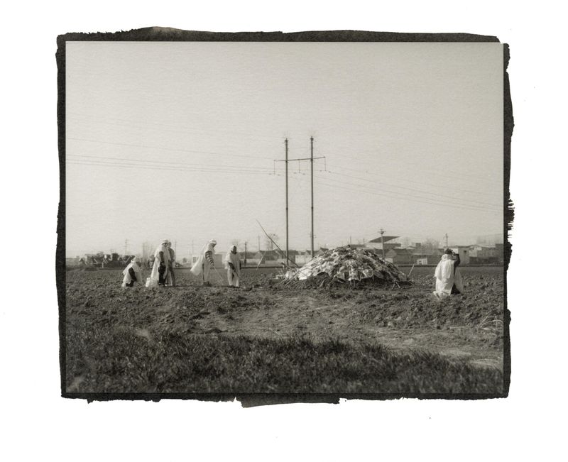 © mengxin qin - Image from the link photography project