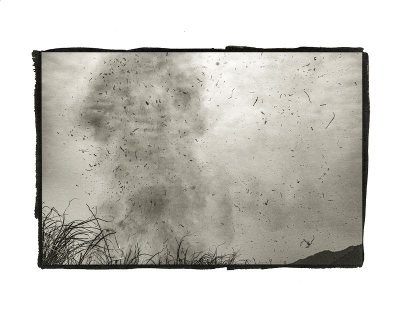 © mengxin qin - Image from the link photography project