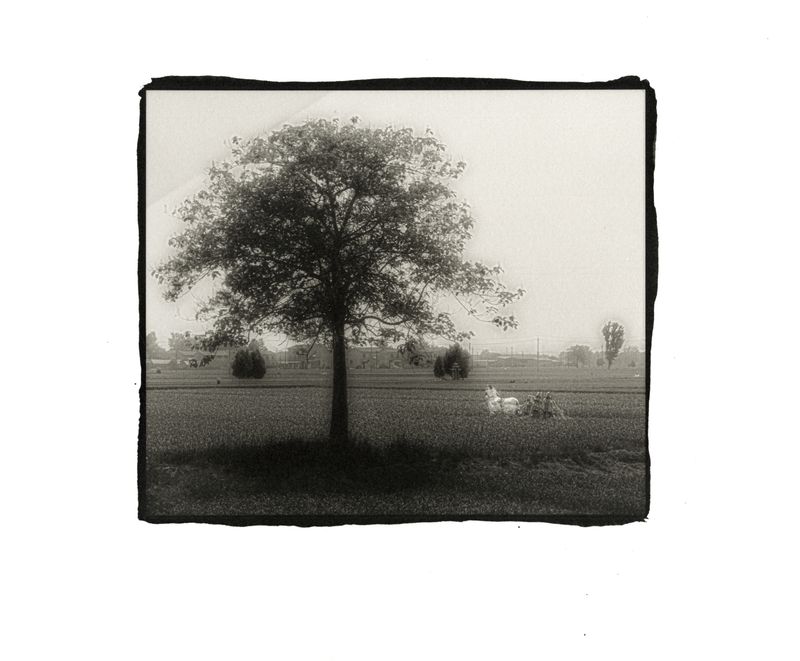 © mengxin qin - Image from the link photography project