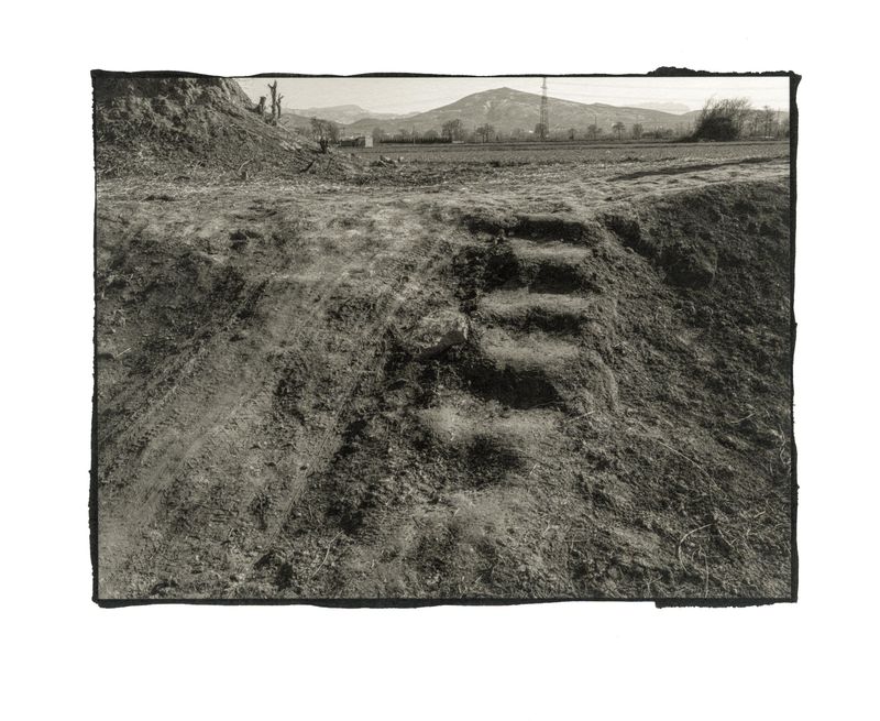 © mengxin qin - Image from the link photography project