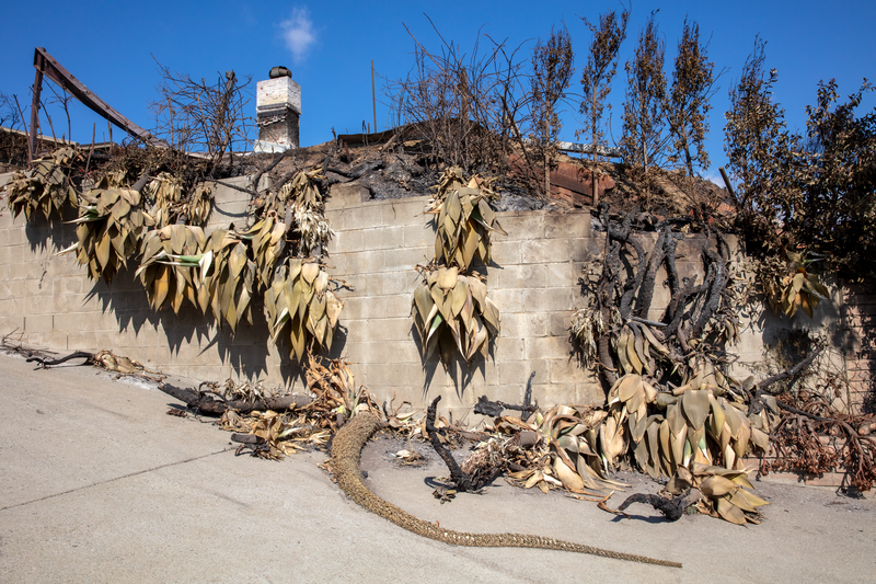 © Vincent Nikolayev - Image from the Afterburn photography project