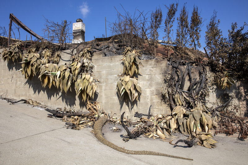 © Vincent Nikolayev - Image from the Afterburn photography project