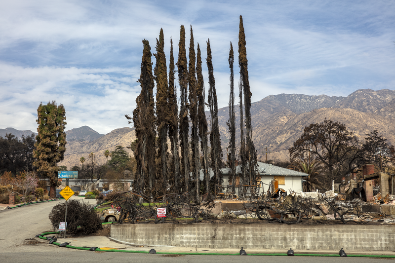 © Vincent Nikolayev - Image from the Afterburn photography project