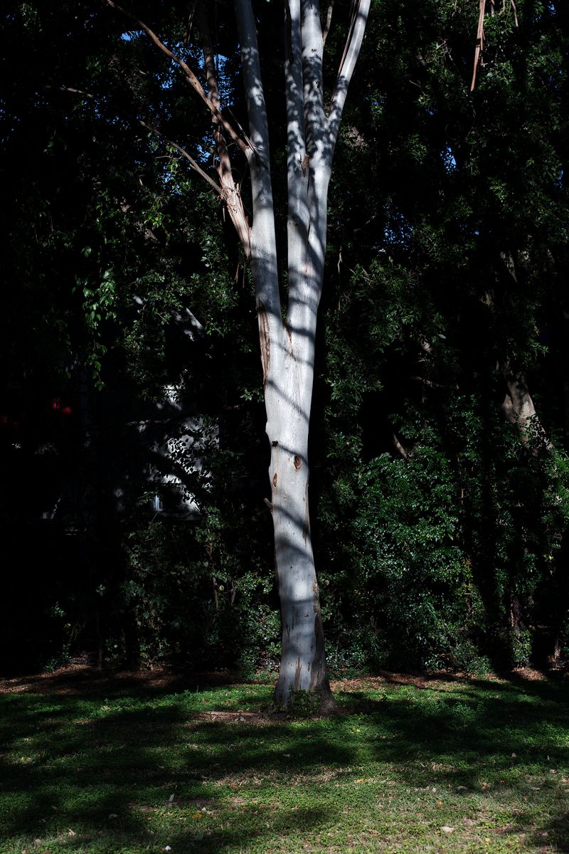 © Jana Koelmel - Image from the Heimat / Home (WIP) photography project