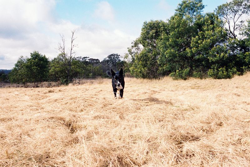 © Jana Koelmel - Huunting Scene, 2025