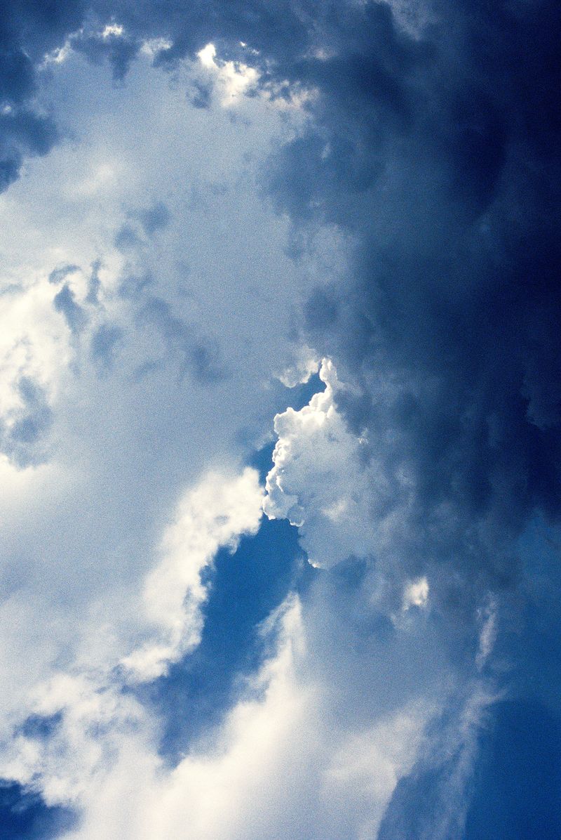 © Jana Koelmel - Antagonist, 2024