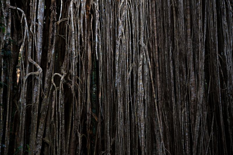 © Jana Koelmel - Thick Veil, 2016