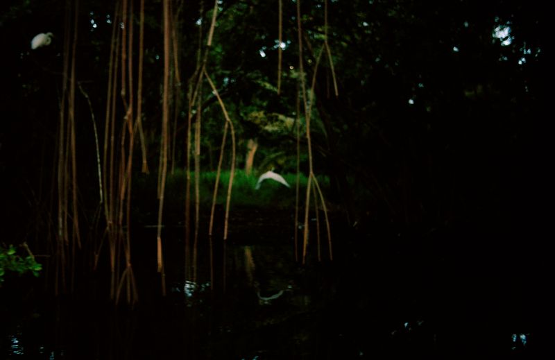 © Jana Koelmel - Phantasmagoria, 2014