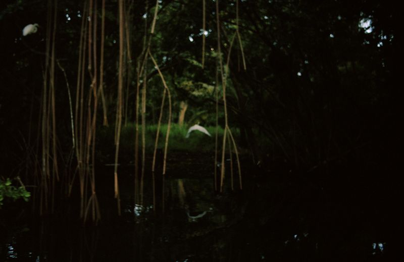 © Jana Koelmel - Phantasmagoria, 2014