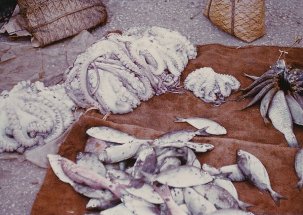 © Masha Wysocka - Image from the Truth is Stranger than Fiction photography project