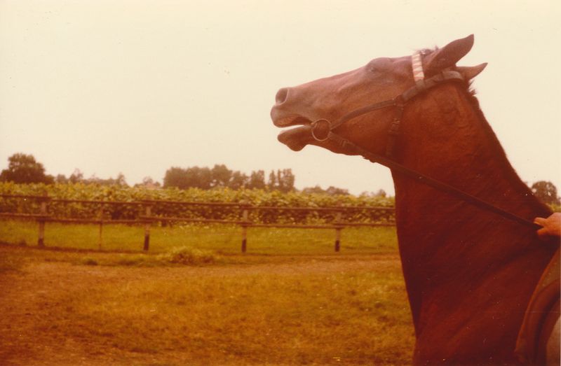 © Masha Wysocka - Image from the Truth is Stranger than Fiction photography project