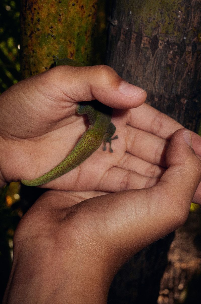 © Desmond Centro - Image from the MAHALO FOR EVERYTHING photography project