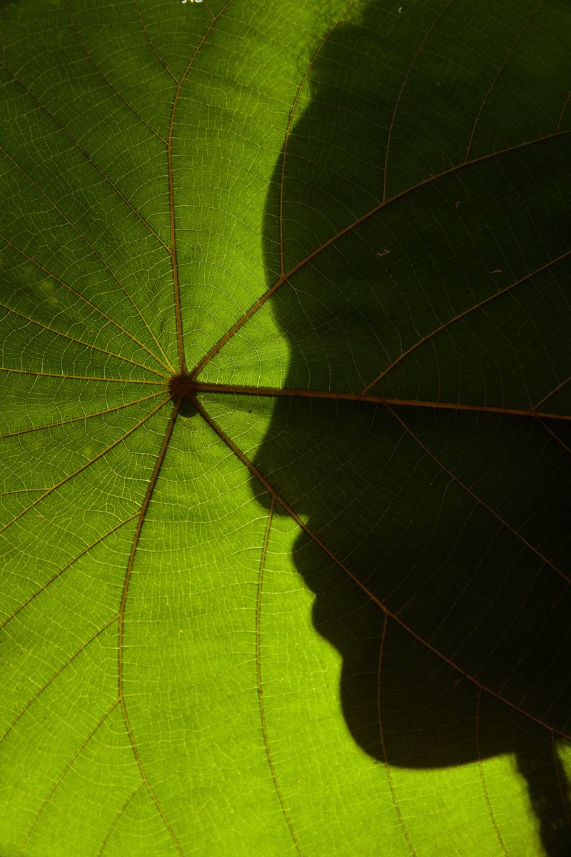 © Desmond Centro - Image from the MAHALO FOR EVERYTHING photography project
