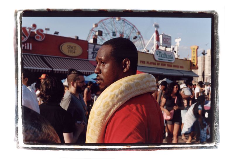 © Nat Segebre - Snake Charmer In Sunlight